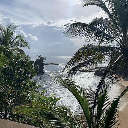 Pangea Lodge Tropical Vibe Home With Shared Pool Manzanillo  Exterior photo